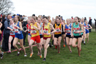Intermediate girls 2019 New Balance English Schools Cross Country Champs, Temple Newsam, Leeds. Photo:  David T. Hewitson/Sports for All Pics